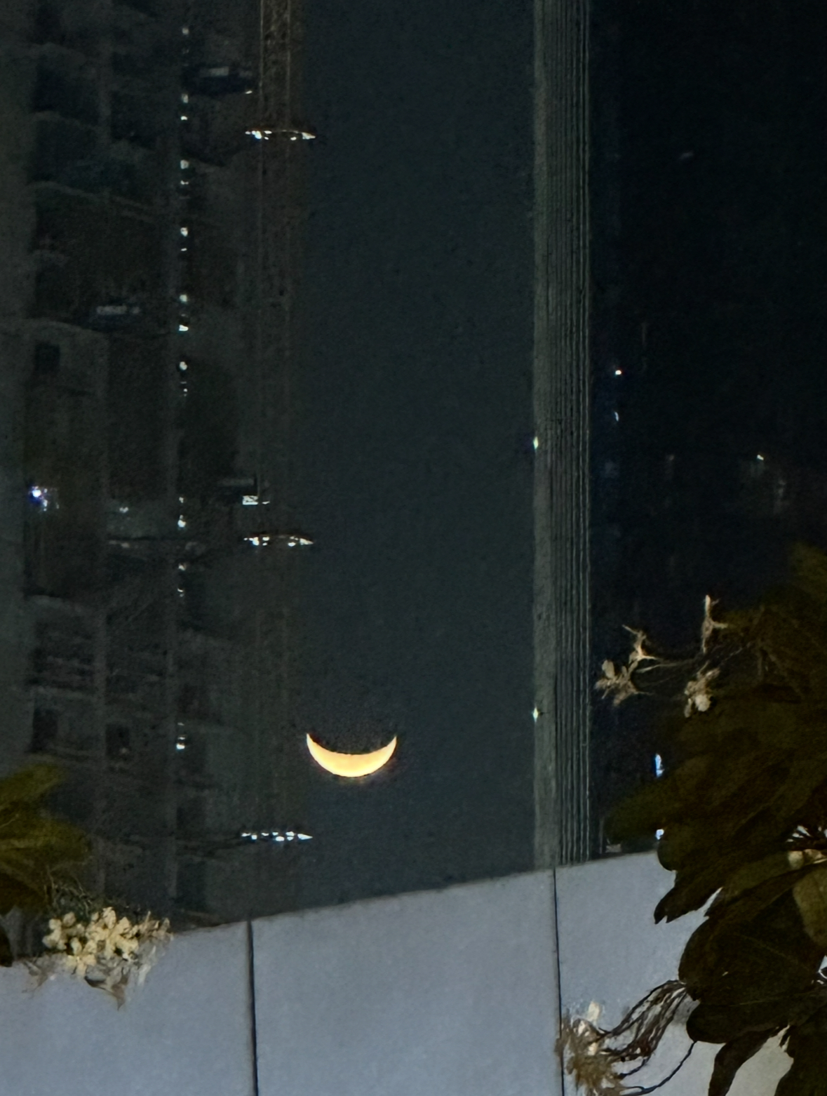 Crescent Moon Dubai | sorinadumitru